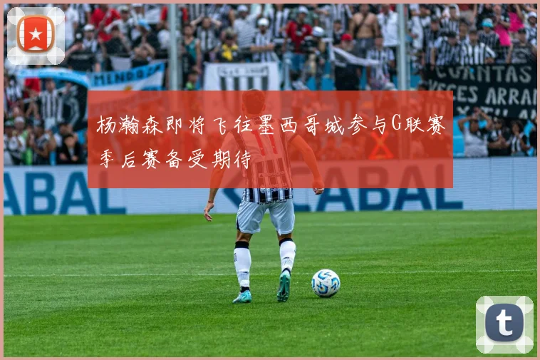 杨瀚森即将飞往墨西哥城参与G联赛季后赛备受期待